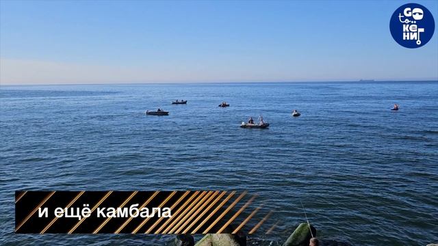 Рыбалка в Балтийске