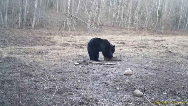 Ой, сломалось..
