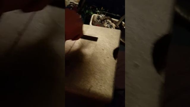 For honor collectors edition unboxing