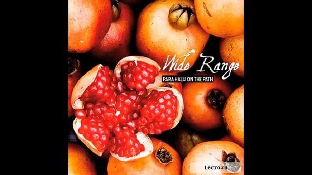 Para Halu On The Path - Radar (album version)