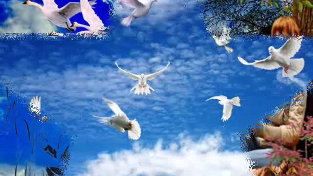 Евгений Осин .ПТИЦЫ-МИРАЖИ.