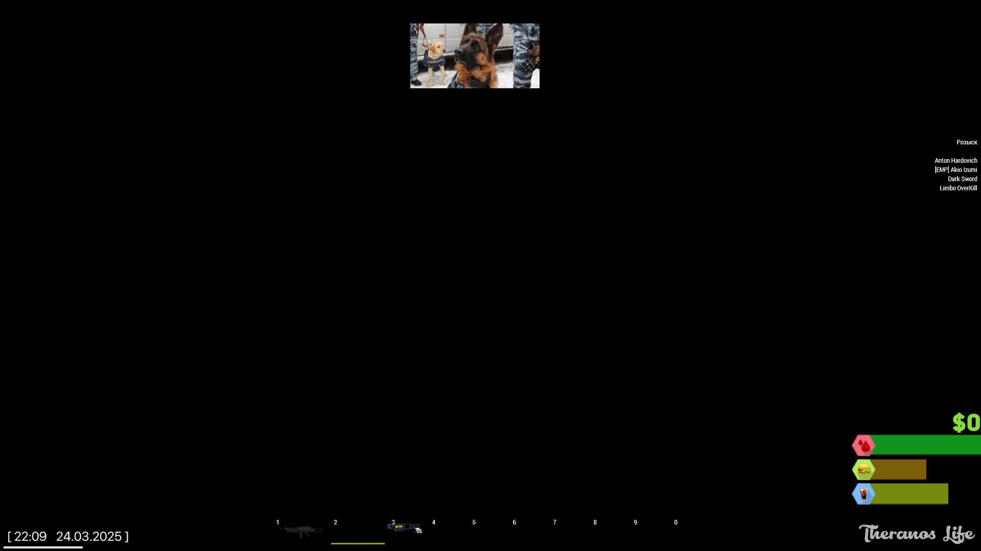 Arma 3 Теранус служба в МВД