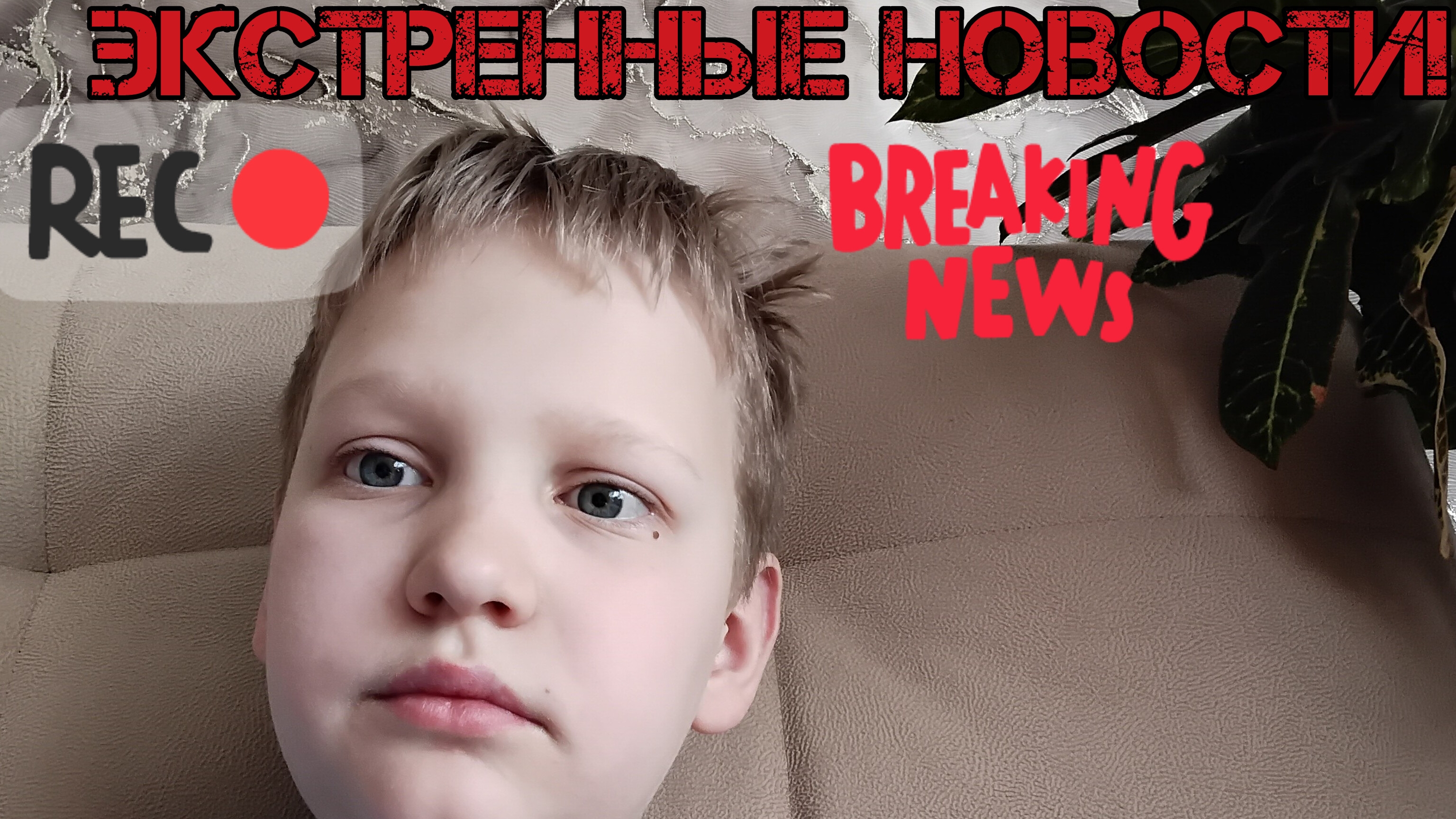 Инфа по поводу видео