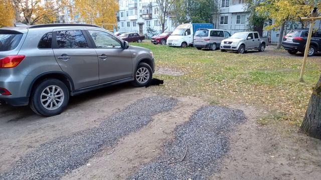 Уличный чёрный кот наелся! ^^