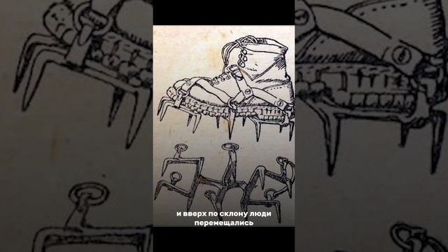 Эволюция кошек