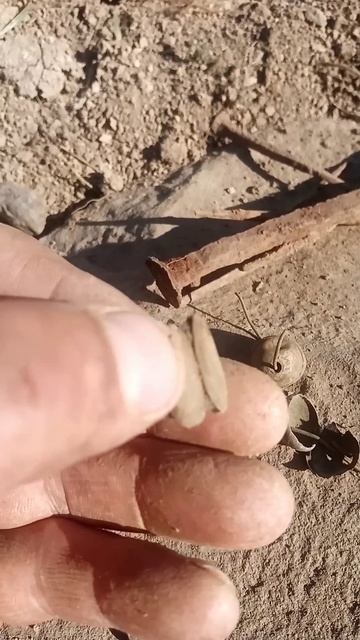 Шурфлю старинное подворье.