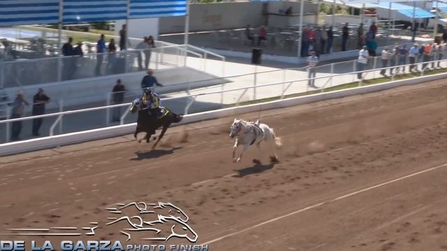 SIN JINETE | FARANDULAS VS MORA | DE LA GARZA PHOTOFINISH