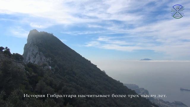 Гибралтар Европа обезьяны/ Europe Gibraltar monkey.
