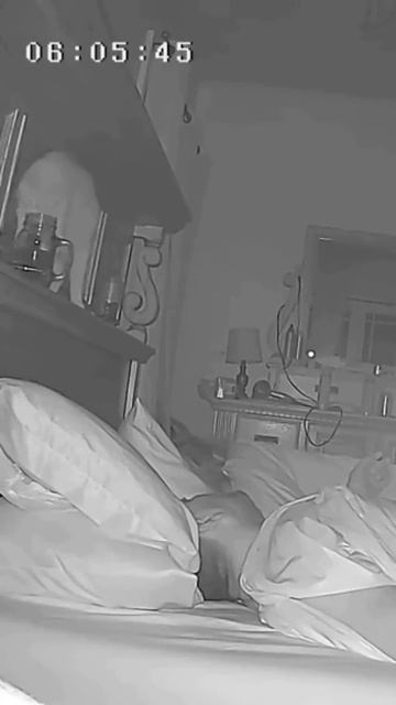 Alarm Cat