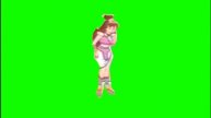 Adobe Premiere Pro CS3-Masking Test