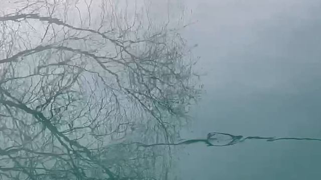Испарение воды ранним утром. Пение птиц