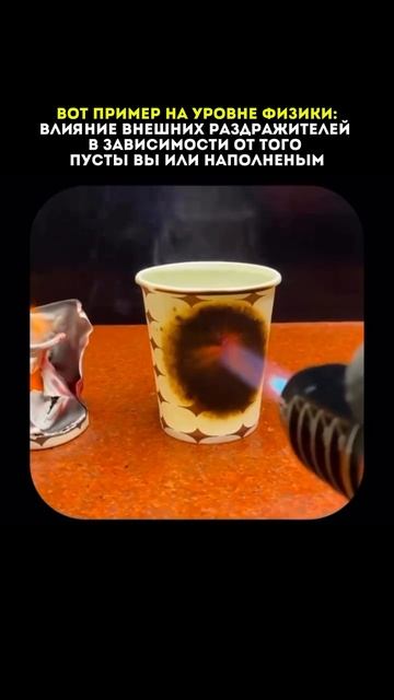 Чем ты наполнен, то и работает💯