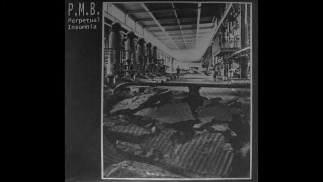 P.M.B. - Perpetual Insomnia LP (Membrum Debile Propaganda 2000)