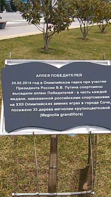 Олимпийский парк в Сочи