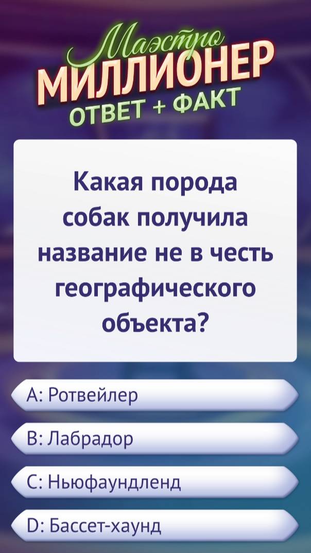 Вопрос о породе собак #маэстромиллионер #факты
