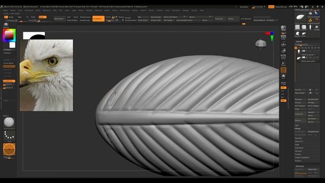 Zbrush Eagle head  quick Sculpting