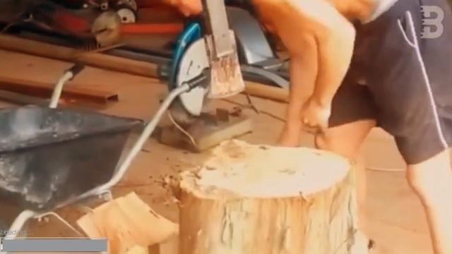 ДИКАРИ И ДЕРЕВЬЯ: ШОКИРУЮЩИЕ МЕТОДЫ РАСПИЛА! ЛУЧШИЕ ИНСТРУМЕНТЫ 2025!"