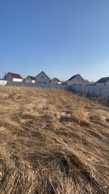 Большие жеребцы солнечная 237