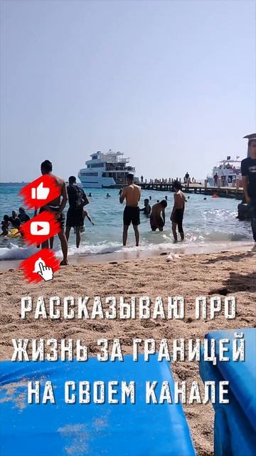 Лучшее время для поездки в Египет  Влог из Хургады ☀️ #море #travel #отдых #путешествия