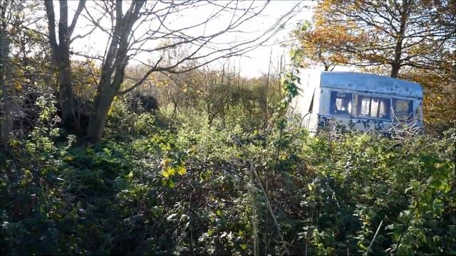 What to do When Your Polytunnel Blows Down!