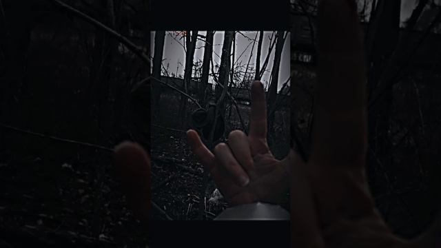 Комната Культуры - поезда