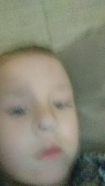 Школа Хаги