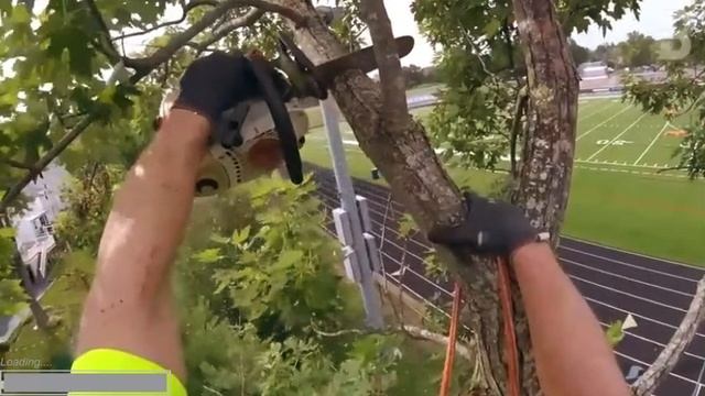 ЭТИ БЕЗУМЦЫ РУБЯТ ДЕРЕВЬЯ! ТОП-5 САМЫХ МОЩНЫХ СТАНКОВ 2025