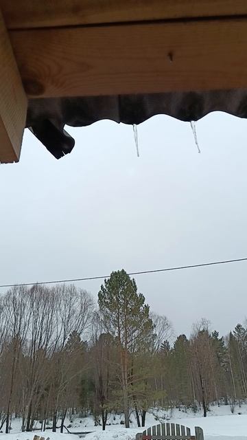 24 марта 2025 г. Наблюдение для рисования.