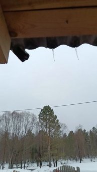 24 марта 2025 г. Наблюдение для рисования.