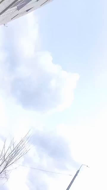Монстр в лесу