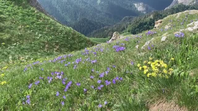 24 марта 1920 - день начала записи Учения Живой Этики