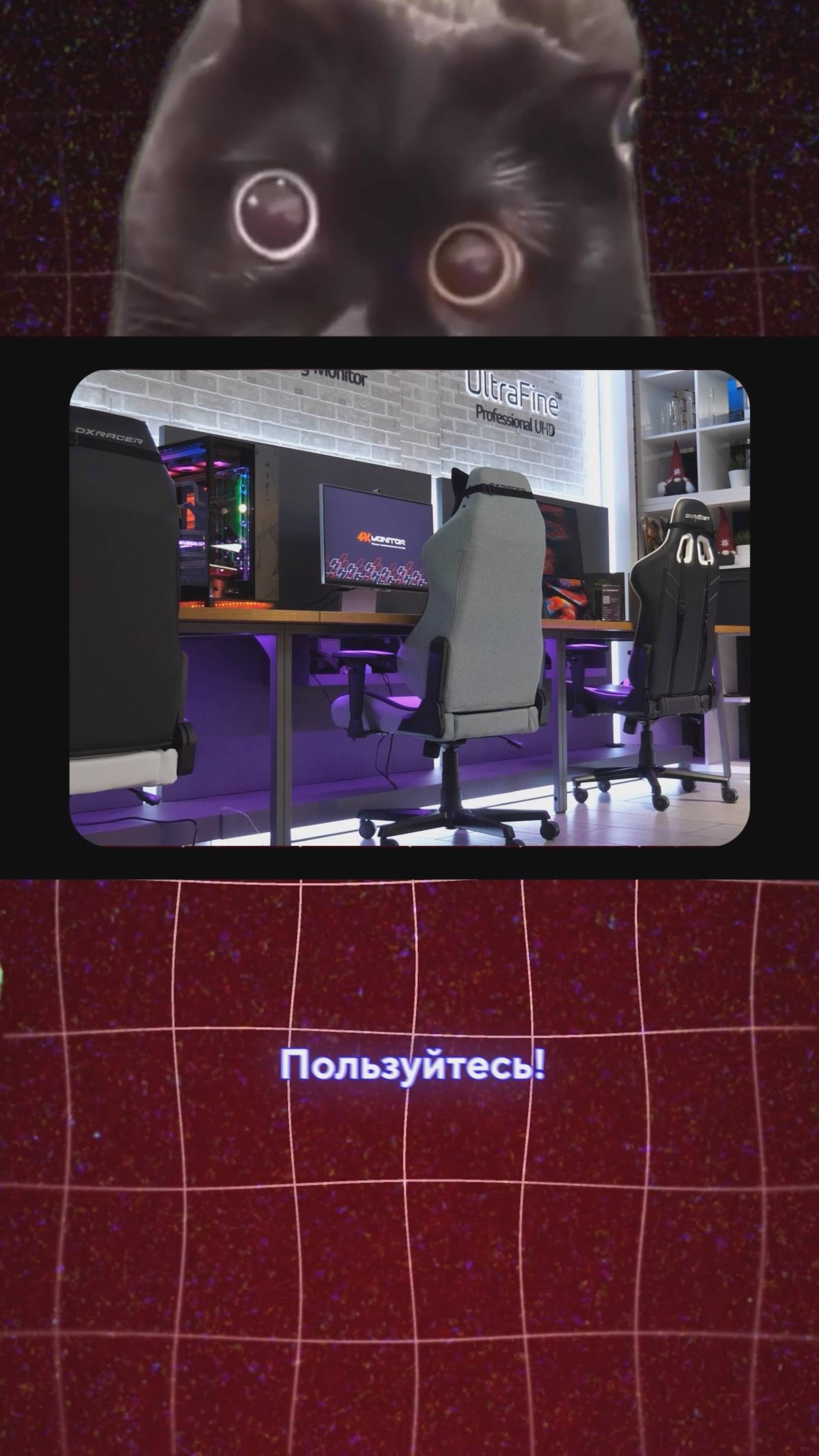 Это новый лучший монитор для Mac?