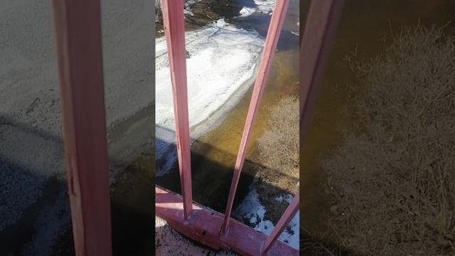 У БАБУШКИ В ДЕРЕВНИ СМОТРИМ Р. СИНАРА