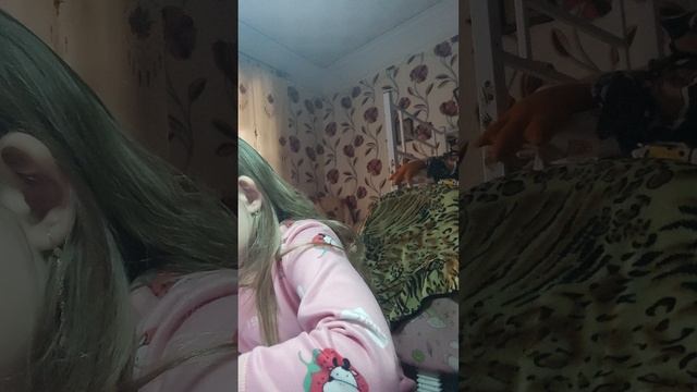 делаю уроки на видео