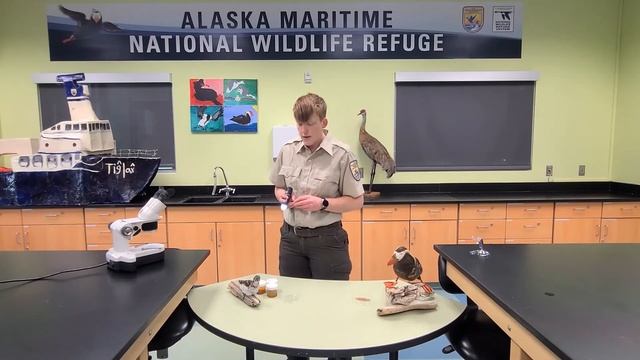 Seabird Diet Samples