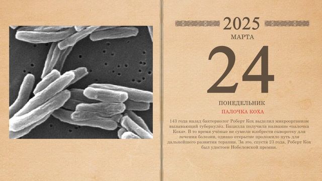 24.03.2025 Народный календарь
