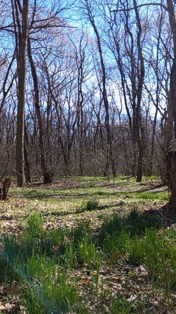 24.03.2025 #сегоднятак #сегодня #природа #nature #oggicosì #бүгін #oggi #hoy #今日 #today #오늘 #자연 #自然