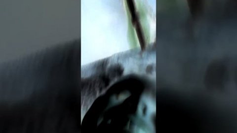 Картошка фри ПВП(1)