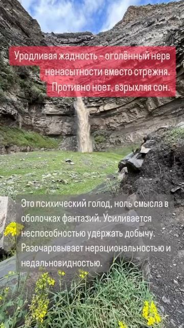 Жадность