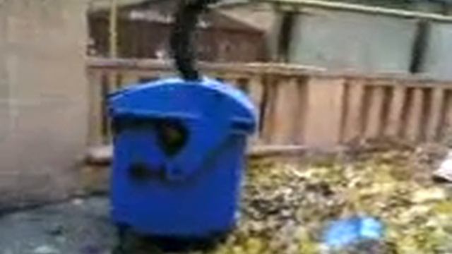 Нашелся трейсер