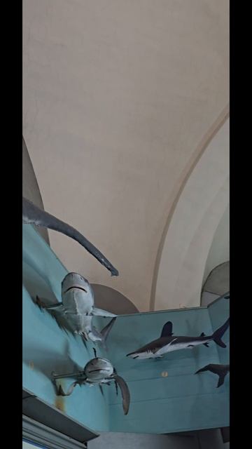 1000330429.mp4