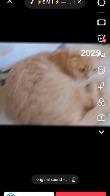 1000008179.mp4