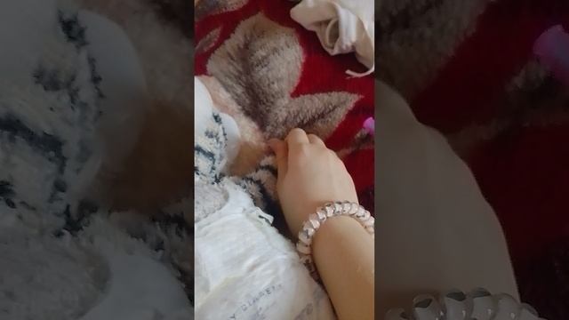 1 часть собираю Тиму на прогулку 🤍🤍