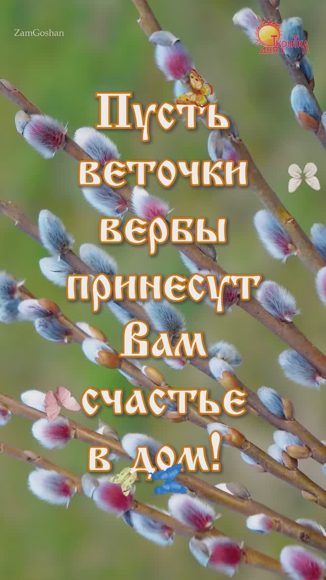 С вербным воскресеньем. Открытка с вербой.