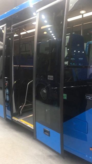 Автобусы Газ.