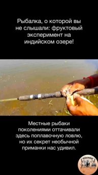🎣🌿🌅 Рыбалка, о которой вы не слышали: фруктовый эксперимент на индийском озере!