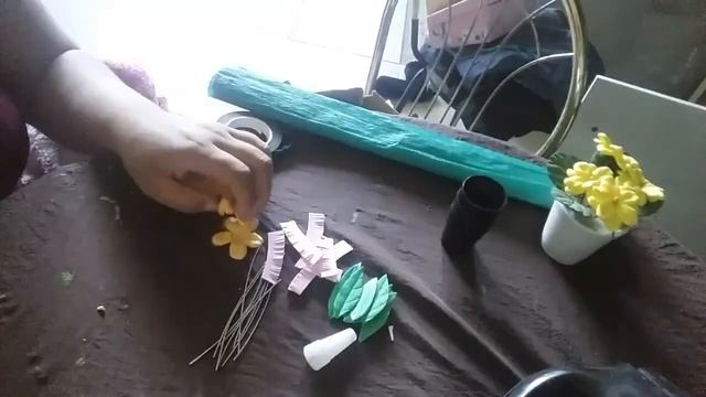 Mini tulipa grupo MFM produções