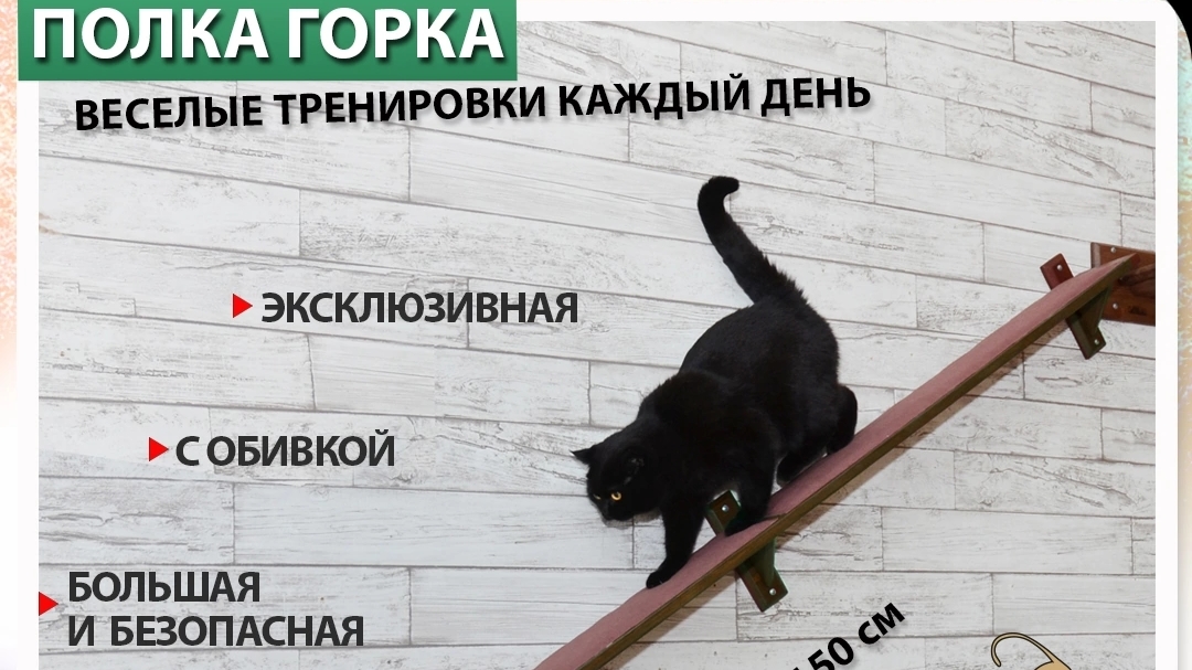 Кошка катается с горки