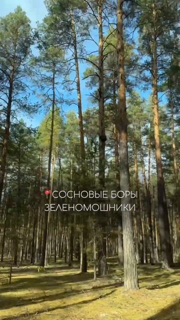 Мистическая Мещёра