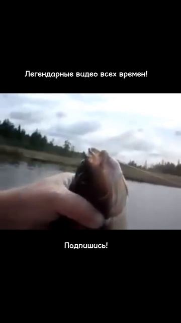 Яяяяяязь
